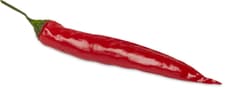 Peperoncini rot medium