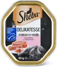 MSC délicat. en gelée avec saumon
