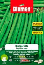Haricot nain SLENDERETTE