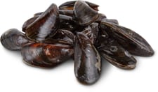 M-Classic MSC mussels