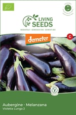 Aubergine