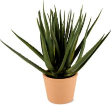 Plante artificielle
