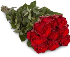 Fairtrade roses nobles rouge