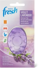 1 for all Lavender