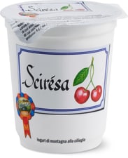 Yogourt Scirésa