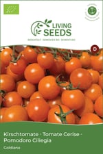 Tomate cerise Goldiana