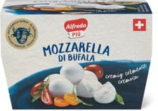 Alfredo Più Mozzarella Bufala CH