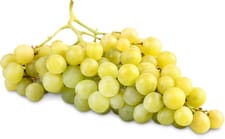 Raisin Uva Italia