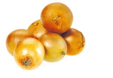 Oignons