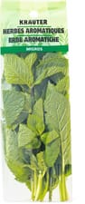 Menthe