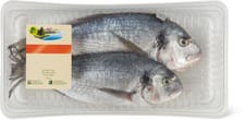 Bio Dorade Royal