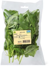 Migros Bio Basilic