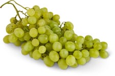 Raisins Vittoria