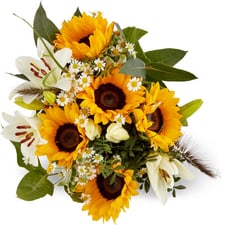 M-Classic ouquets de tournesol