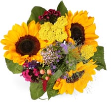Bouquet