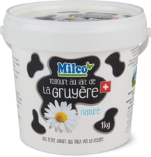 Yogourt Lait Gruyère Nature