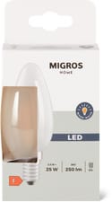 M-HOME LED MATT B 25W E14 DUO