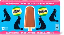 Otarie crème glacée Vanille sans lactose