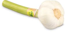 Migros Bio Knoblauch frisch