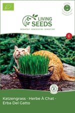 Herbe À Chat