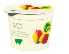 Migros Bio yogourt brebis mangue