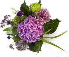 M-Classic mazzo d'ortensie