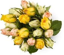 M-Classic Fairtrade miniroses pastel