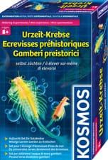 Ecrevisses préhistoriques à élever soi-même