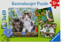Ravensburger Chatons tigrés Puzzle Puzzles
