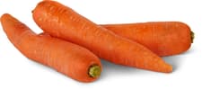 Karotten
