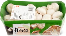 Champignons bianchi