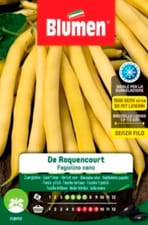 Haricot nain DE ROQUENCOURT