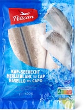 Pelican MSC merlu sans tête