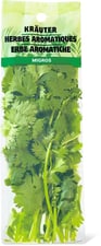 Migros Bio coriandre