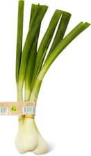 Migros Bio oignons frais