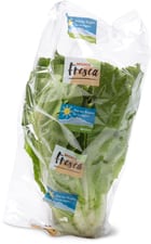 Laitue romaine