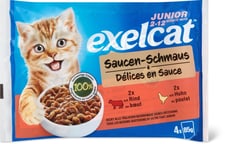 Exelcat Sauce Junior