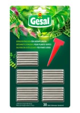 Bastoncini fertilizzanti per piante verdi, 30 pezzi