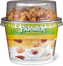 Farmer yogourt pecan