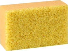 Éponge nettoie-insectes