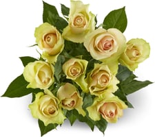 Fairtrade roses grande 50cm