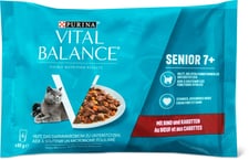 Vital Balance Senior 7+ con manzo e carote