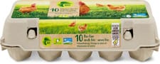 Bio oeufs CH plein air 53g+