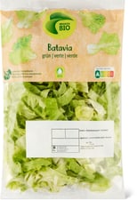 Migros Bio batavia verte