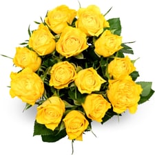 Miniroses 40cm