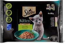 Sheba Junior Saumon sans céréales