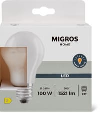 M-HOME LED MATT A 100W E27 DUO