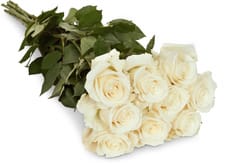 Fairtrade roses nobles blanc