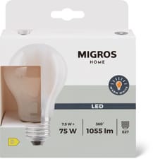 M-HOME LED MATT A 75W E27 DUO
