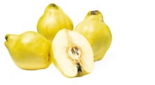 Coings